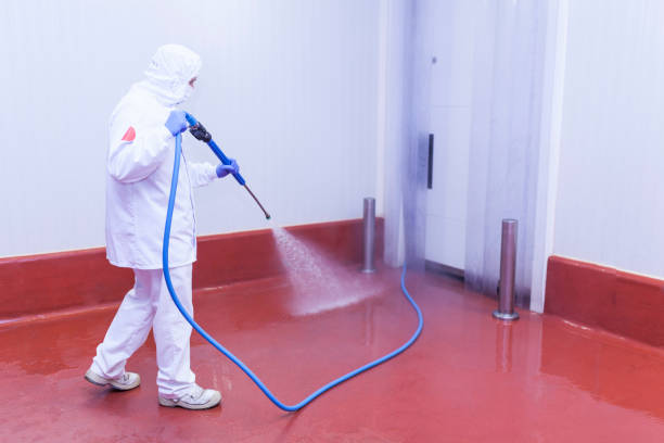 Best Spring Cleaning  in East Franklin, NJ