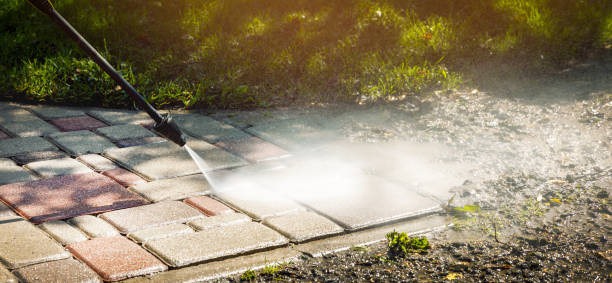 Best Boat and Dock Cleaning  in East Franklin, NJ