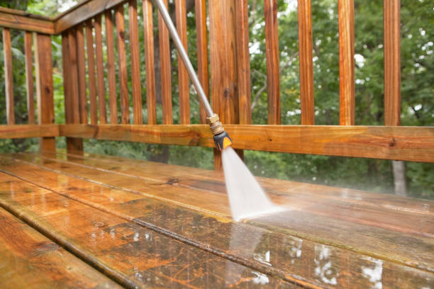 Best Animal Enclosure Cleaning  in East Franklin, NJ